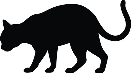 Silhouette of a cat standing with head down, tail curled upwards on white background