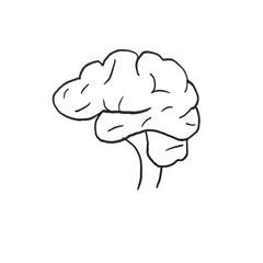 Hand drawn human brain outline illustration. Creative, medical, health, mindset, thinking, innovative.