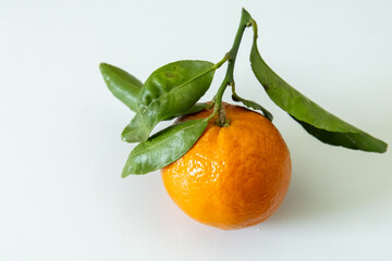 tangerine with green leaves on white background