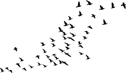 Flying Bird Silhouettes Vector – Minimalist Black and White Flock in V-Formation