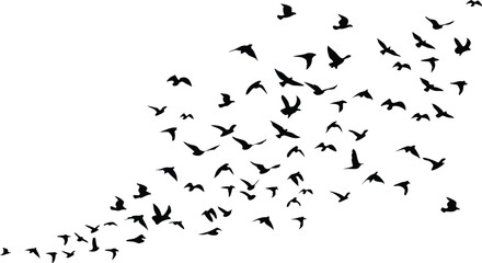Bird Flock Silhouettes Vector – Minimalist Black and White Flight Formation in Motion