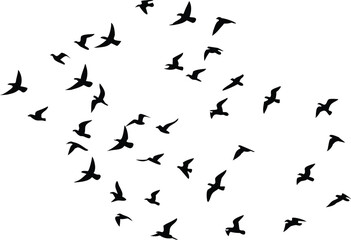 Bird Silhouette Flock in Flight Minimalist Black and White Illustration with Migration Theme