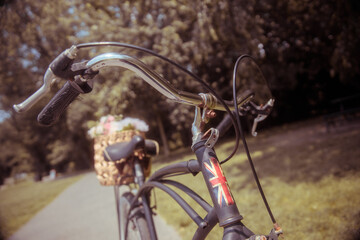 Vintage Bicycle with Flower Basket in a Sunny Park