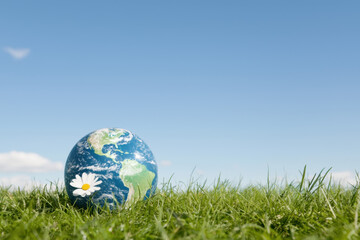 Earth globe resting on grassy field under bright blue sky, adorned with white daisy, symbolizes nature and environmental awareness. This serene scene evokes feelings of peace and harmony