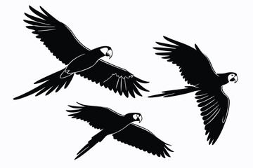 Obraz premium Black silhouette of macaws in flight exotic parrot vector graphic