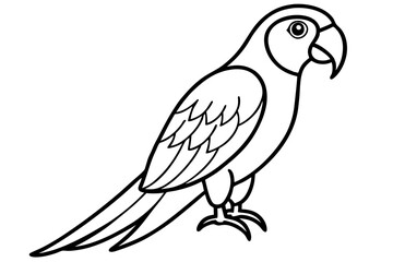 Minimalist Macaw Sketch