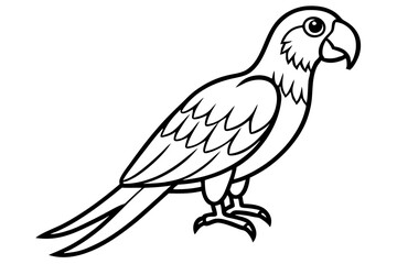 Fototapeta premium Minimalist Macaw Sketch