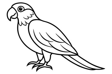 Minimalist Macaw Sketch