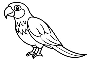 Minimalist Macaw Sketch