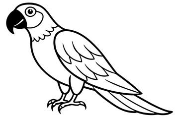 Minimalist Macaw Sketch