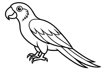 Minimalist Macaw Sketch