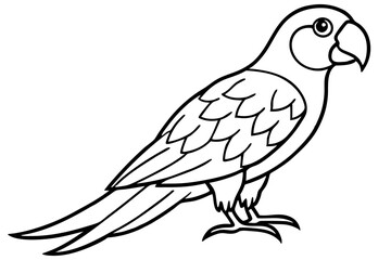 Minimalist Macaw Sketch