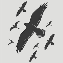 Obraz premium Graphic illustration of birds in flight vector silhouette group on light background