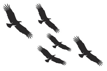 Obraz premium Silhouette of eagles flying in formation vector illustration graphic design template