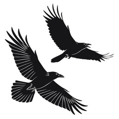 Obraz premium Two raven silhouettes in flight vector illustration isolated on white background