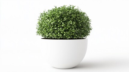 Elegant Blank White Frame with Plant Pot Isolated Mockup for Interior Designers and Decorators