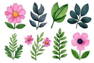 Obraz premium Watercolor wildflowers and leaves illustration set isolated on white