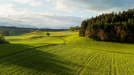 Obraz premium Spring landscape of rolling hills and forest near Allgäu, southern Germany, Bavaria