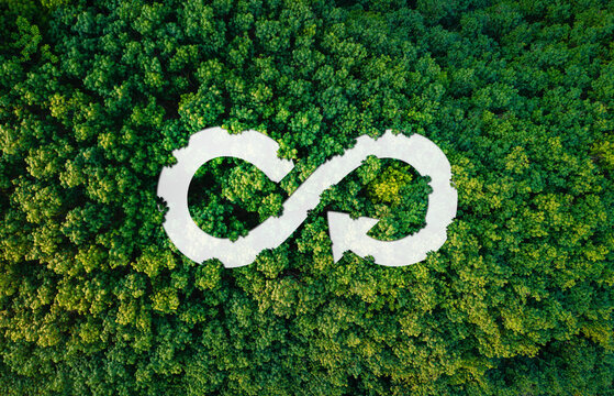 circular economy icon aerial view of forest and trees