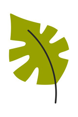 Tropical palm leaf hand drawn