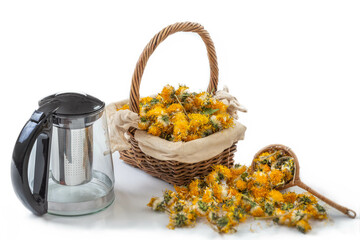 Gathering fresh herbs for herbal tea preparation