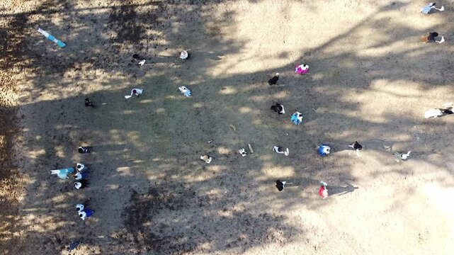 
A large Argentine dance group performing chacarera outdoors, filmed from a drone