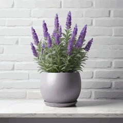 Purple lavender flowers grow in gray ceramic pot on white table in front of white brick wall