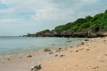 tropical beach