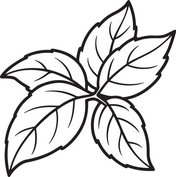 black and white leaves drawing clip art preview