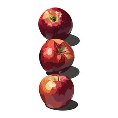 Obraz premium Vector illustration of fresh apples V7
