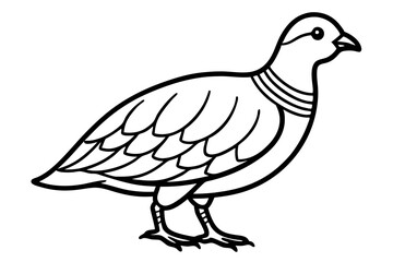 Minimalist Quail Vector