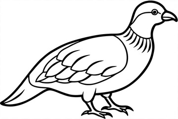 Minimalist Quail Vector