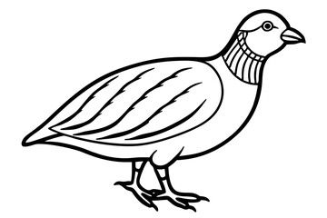 Minimalist Quail Vector