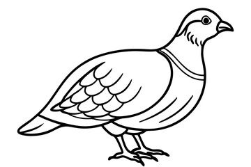 Minimalist Quail Vector