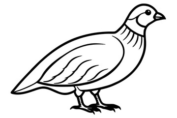 Fototapeta premium Minimalist Quail Vector