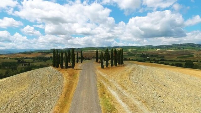 Aerial Drone View Iconic Cypress Trees on Hilltop Winding Road Tuscany Crete Senesi Italy Classic Landscape Symbol Rolling Hills Blue Sky Clouds Warm Summer Day
