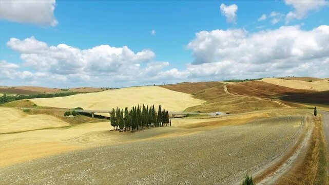 Aerial Drone View Iconic Cypress Trees on Hilltop Winding Road Tuscany Crete Senesi Italy Classic Landscape Symbol Rolling Hills Blue Sky Clouds Warm Summer Day