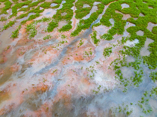 Emission of pollution by sewage from the city fall into the pond with green grass,Water pollution,...