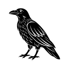 Download Rook Birds  Silhouette Vector Illustration White Background Svg File For Design.
