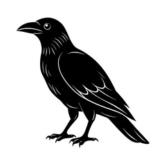 Download Rook Birds  Silhouette Vector Illustration White Background Svg File For Design.
