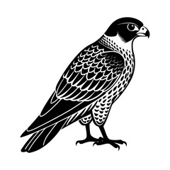 Obraz premium Download Peregrine Falcon Birds Silhouette Vector Illustration White Background Svg File For Design.