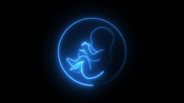 Human embryonic and frontal development. glowing neon human fetus inside the womb. human embryonic stem cells.
