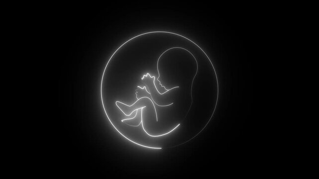 Human embryonic and frontal development. glowing neon human fetus inside the womb. human embryonic stem cells.