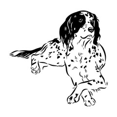 Decorative portrait of standing in profile English Setter, vector isolated illustration