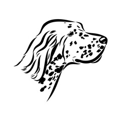 Decorative portrait of standing in profile English Setter, vector isolated illustration