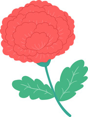 Teacher's Day and Parents' Day Carnation, Vector