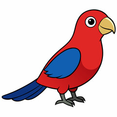 red bird on white background