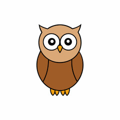 owl on white background