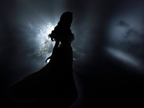 art photo real person fantasy girl princess black shadow silhouette walking running dancing in saint divine moon light ray night dark spring forest fog tree. Scary sexy goddess fairy elf woman ghost 