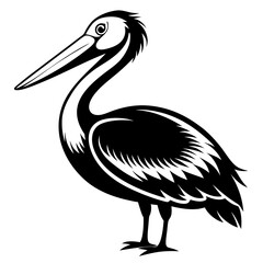 Obraz premium Black and white silhouette illustration of a pelican standing